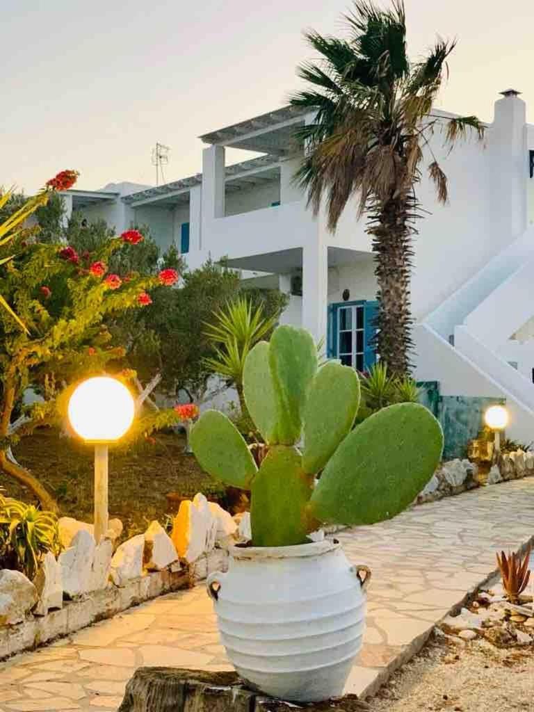 Stavros Studios Logaras Exterior foto